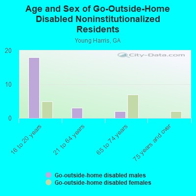 Age and Sex of Go-Outside-Home Disabled Noninstitutionalized Residents