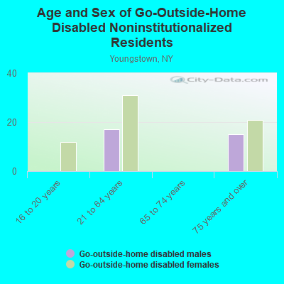 Age and Sex of Go-Outside-Home Disabled Noninstitutionalized Residents