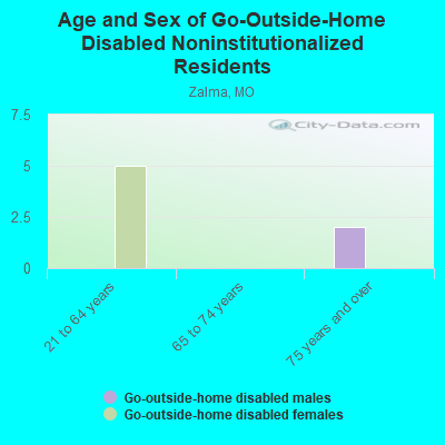 Age and Sex of Go-Outside-Home Disabled Noninstitutionalized Residents