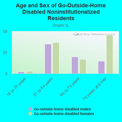 Age and Sex of Go-Outside-Home Disabled Noninstitutionalized Residents