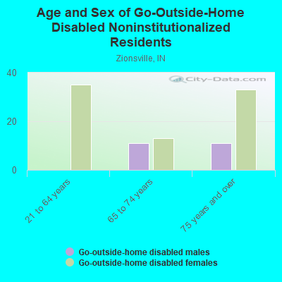 Age and Sex of Go-Outside-Home Disabled Noninstitutionalized Residents