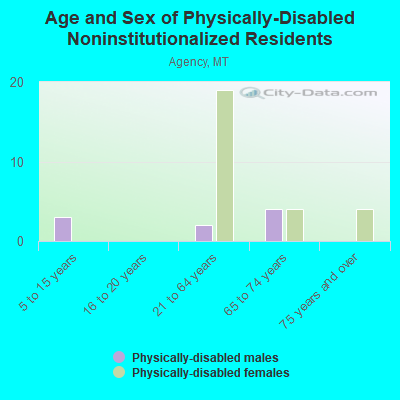 Age and Sex of Physically-Disabled Noninstitutionalized Residents