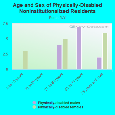 Age and Sex of Physically-Disabled Noninstitutionalized Residents