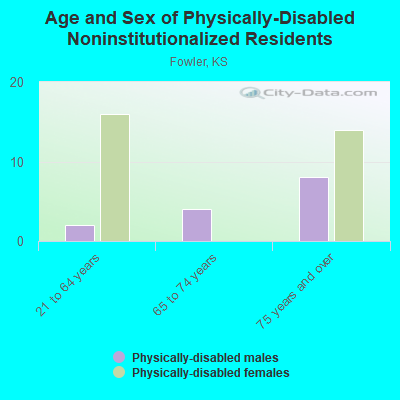 Age and Sex of Physically-Disabled Noninstitutionalized Residents