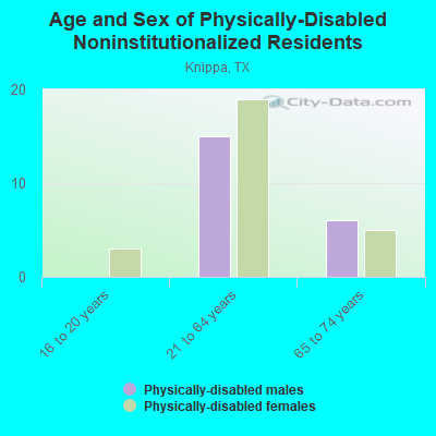 Age and Sex of Physically-Disabled Noninstitutionalized Residents