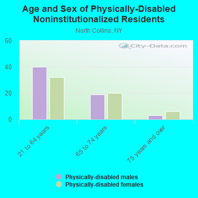 Age and Sex of Physically-Disabled Noninstitutionalized Residents