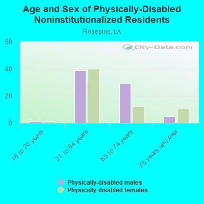 Age and Sex of Physically-Disabled Noninstitutionalized Residents