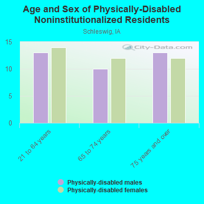 Age and Sex of Physically-Disabled Noninstitutionalized Residents