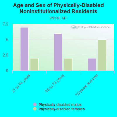 Age and Sex of Physically-Disabled Noninstitutionalized Residents