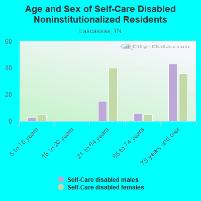 Age and Sex of Self-Care Disabled Noninstitutionalized Residents