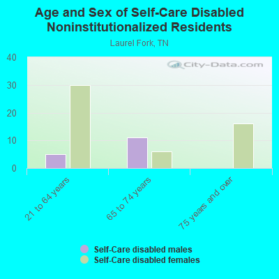 Age and Sex of Self-Care Disabled Noninstitutionalized Residents