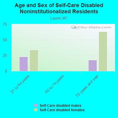 Age and Sex of Self-Care Disabled Noninstitutionalized Residents