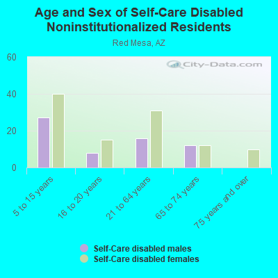 Age and Sex of Self-Care Disabled Noninstitutionalized Residents