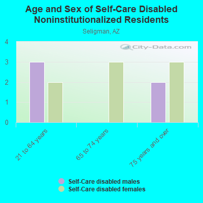 Age and Sex of Self-Care Disabled Noninstitutionalized Residents