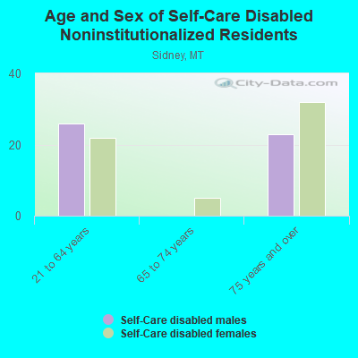 Age and Sex of Self-Care Disabled Noninstitutionalized Residents