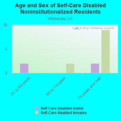 Age and Sex of Self-Care Disabled Noninstitutionalized Residents