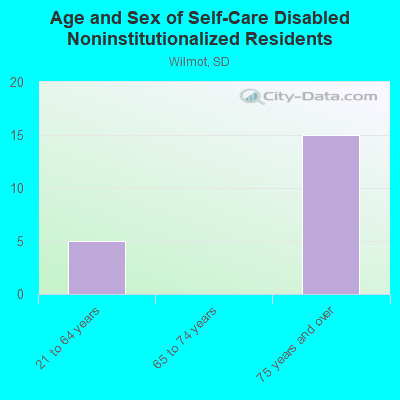 Age and Sex of Self-Care Disabled Noninstitutionalized Residents