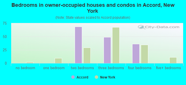 Bedrooms in owner-occupied houses and condos in Accord, New York