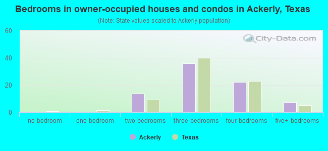 Bedrooms in owner-occupied houses and condos in Ackerly, Texas