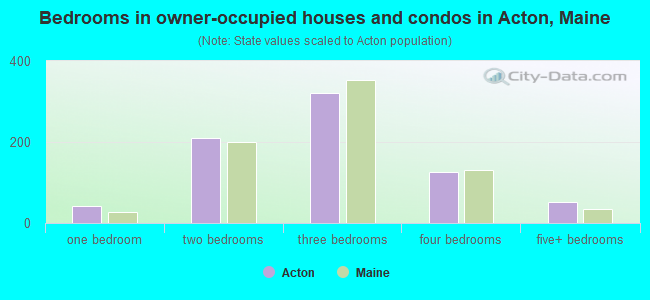 Bedrooms in owner-occupied houses and condos in Acton, Maine