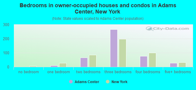 Bedrooms in owner-occupied houses and condos in Adams Center, New York