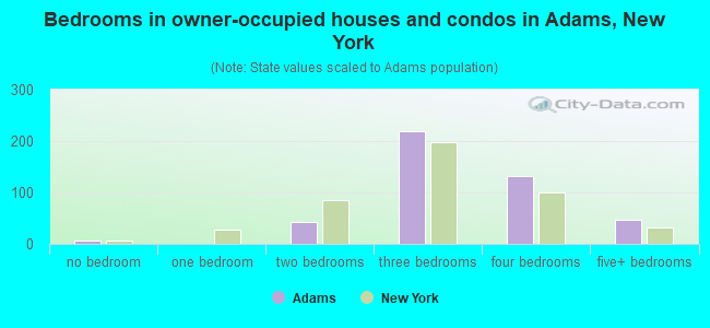 Bedrooms in owner-occupied houses and condos in Adams, New York