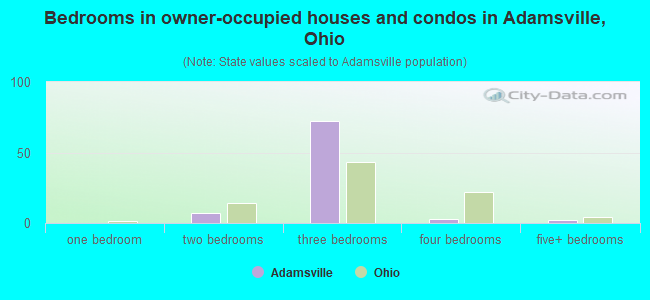 Bedrooms in owner-occupied houses and condos in Adamsville, Ohio