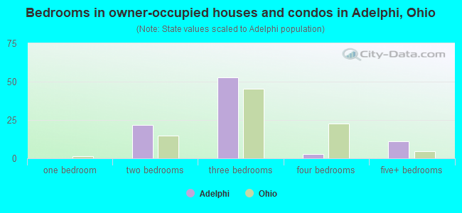 Bedrooms in owner-occupied houses and condos in Adelphi, Ohio