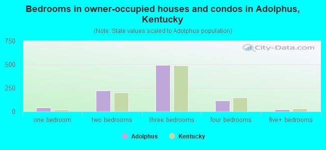 Bedrooms in owner-occupied houses and condos in Adolphus, Kentucky