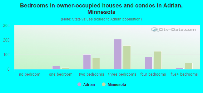 Bedrooms in owner-occupied houses and condos in Adrian, Minnesota