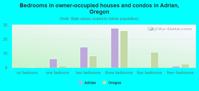 Bedrooms in owner-occupied houses and condos in Adrian, Oregon