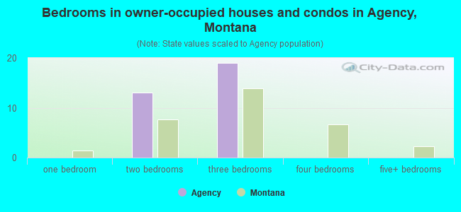 Bedrooms in owner-occupied houses and condos in Agency, Montana