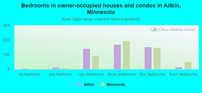 Bedrooms in owner-occupied houses and condos in Aitkin, Minnesota