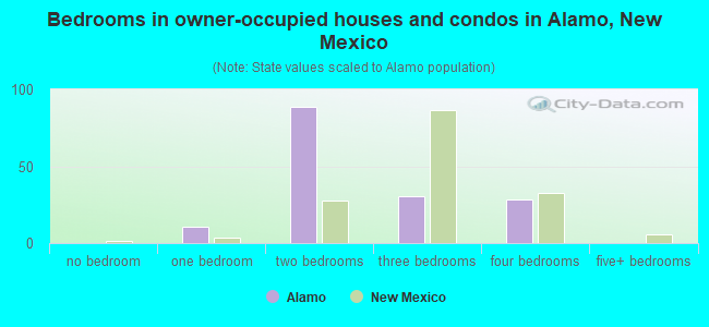 Bedrooms in owner-occupied houses and condos in Alamo, New Mexico