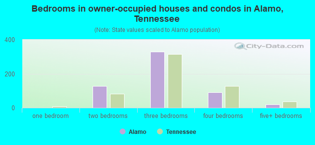 Bedrooms in owner-occupied houses and condos in Alamo, Tennessee