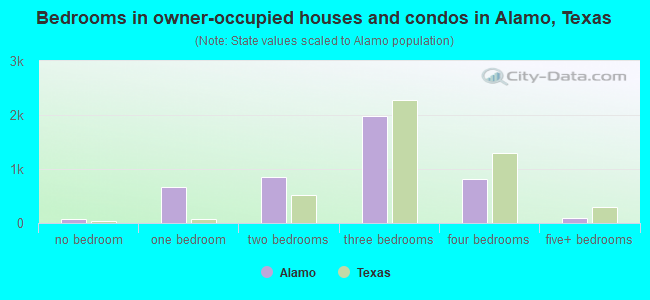 Bedrooms in owner-occupied houses and condos in Alamo, Texas