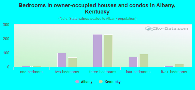 Bedrooms in owner-occupied houses and condos in Albany, Kentucky