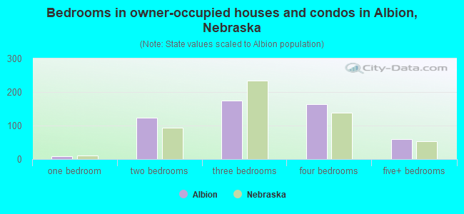 Bedrooms in owner-occupied houses and condos in Albion, Nebraska