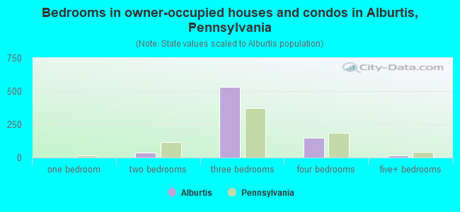 Bedrooms in owner-occupied houses and condos in Alburtis, Pennsylvania