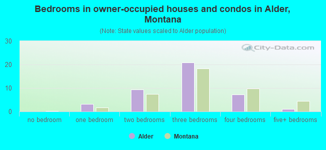 Bedrooms in owner-occupied houses and condos in Alder, Montana