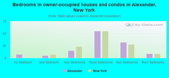 Bedrooms in owner-occupied houses and condos in Alexander, New York