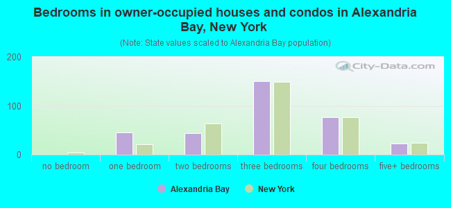 Bedrooms in owner-occupied houses and condos in Alexandria Bay, New York