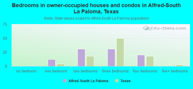 Bedrooms in owner-occupied houses and condos in Alfred-South La Paloma, Texas