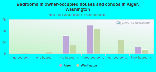 Bedrooms in owner-occupied houses and condos in Alger, Washington