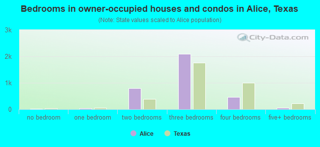 Bedrooms in owner-occupied houses and condos in Alice, Texas