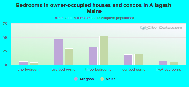 Bedrooms in owner-occupied houses and condos in Allagash, Maine