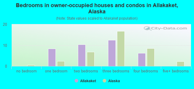 Bedrooms in owner-occupied houses and condos in Allakaket, Alaska