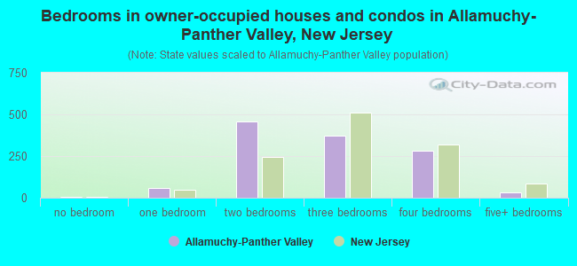 Bedrooms in owner-occupied houses and condos in Allamuchy-Panther Valley, New Jersey