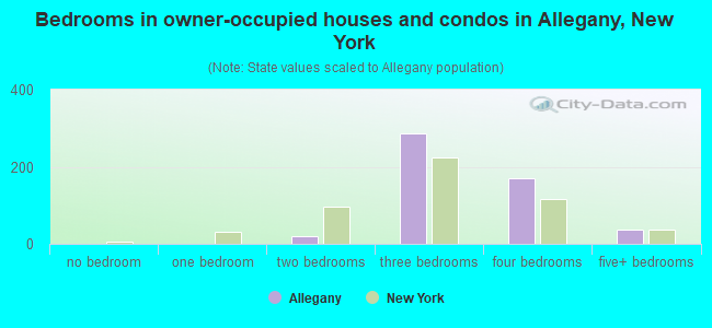 Bedrooms in owner-occupied houses and condos in Allegany, New York