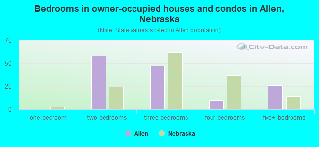 Bedrooms in owner-occupied houses and condos in Allen, Nebraska